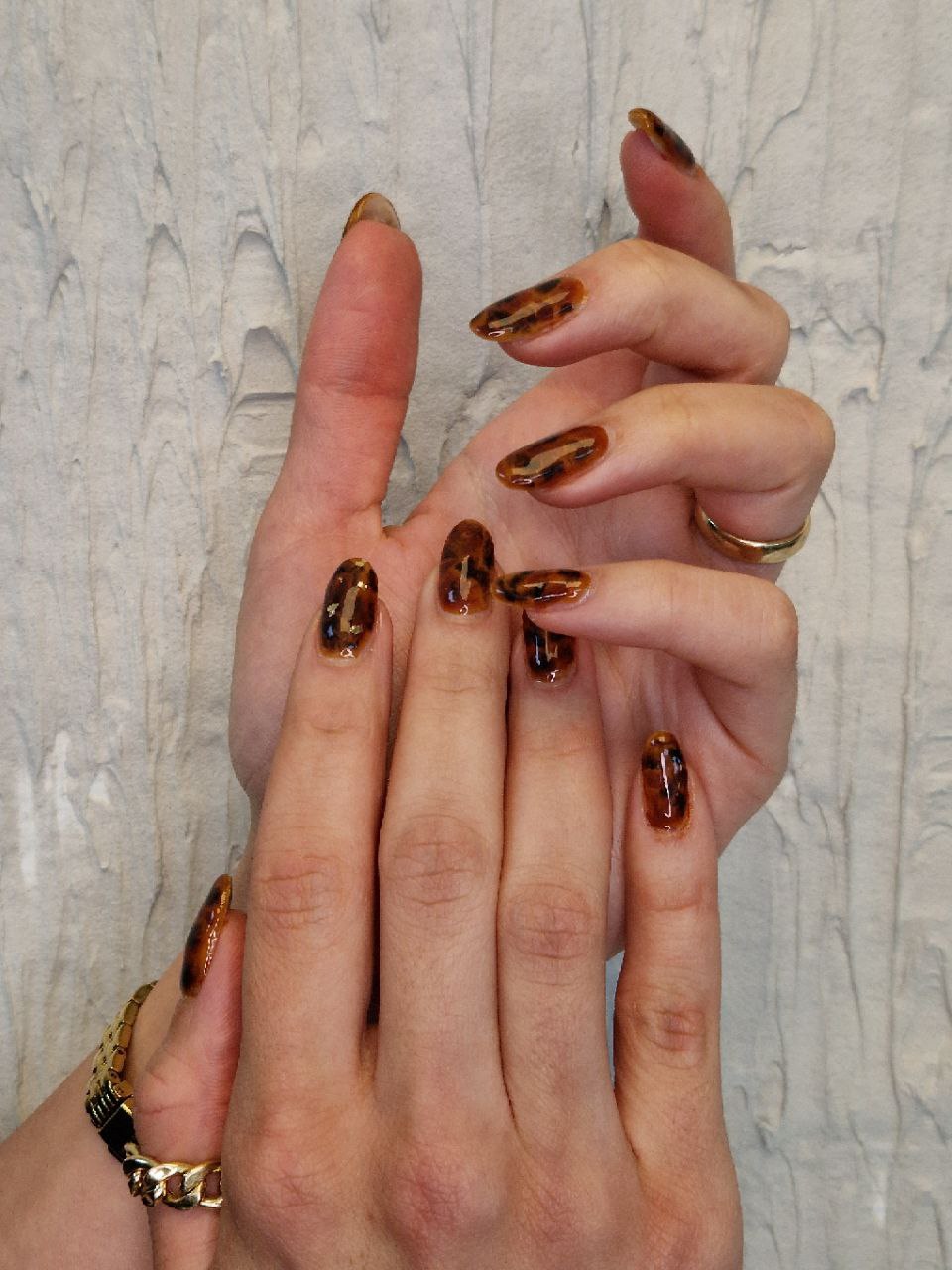 Autumn Collection 2025
